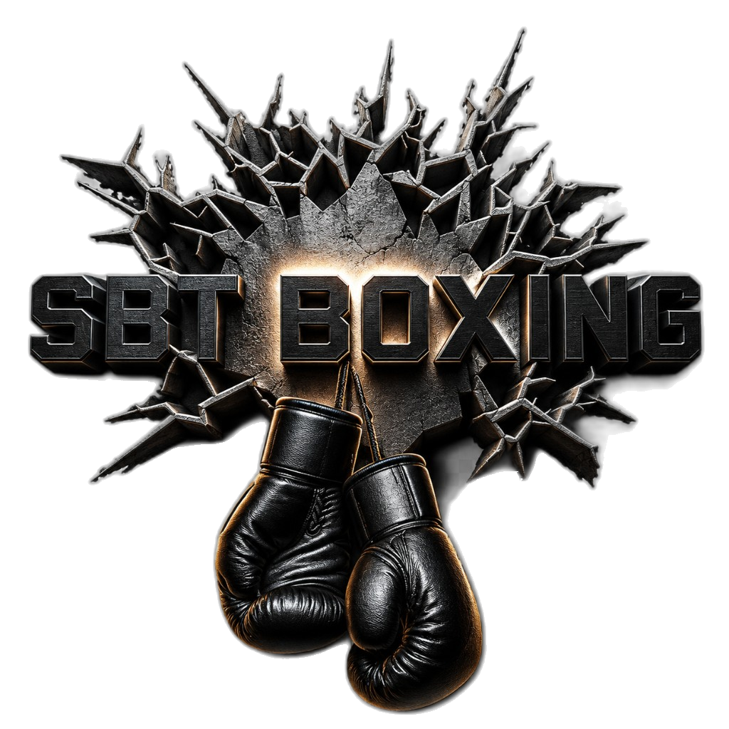 SBT Boxing — gloves and brand mark